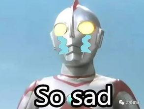 国产各种视频,多元题材，精彩纷呈