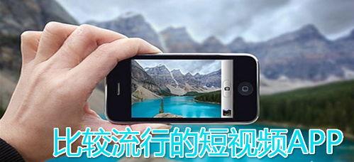 短视频app国产合集,探索本土创新与潮流趋势