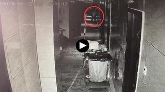 成人酒店免费视频观看,揭秘成人酒店免费视频观看背后的秘密与风险