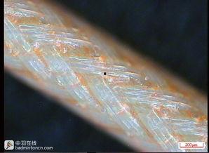 无码大线视频在线观看,在线观看的极致体验