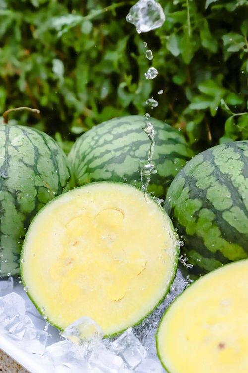 吃瓜网必看大瓜 王木木,揭秘娱乐圈背后的惊人真相